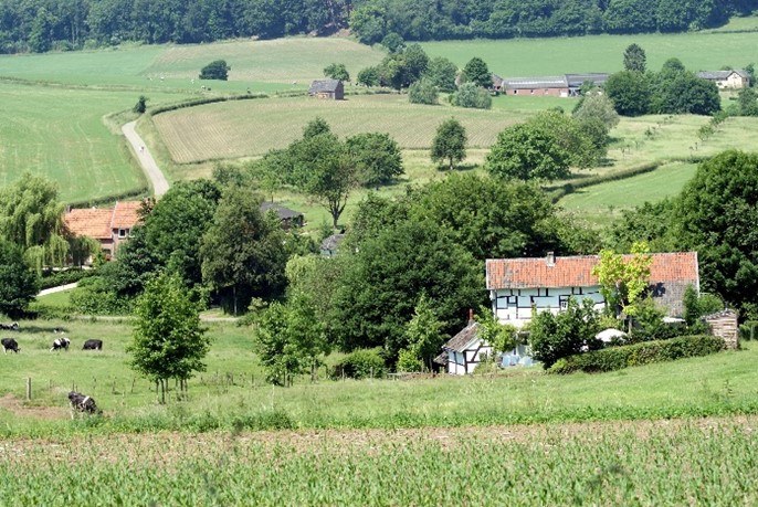 Image4