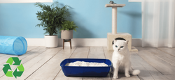 Avis aux propriétaires de chats