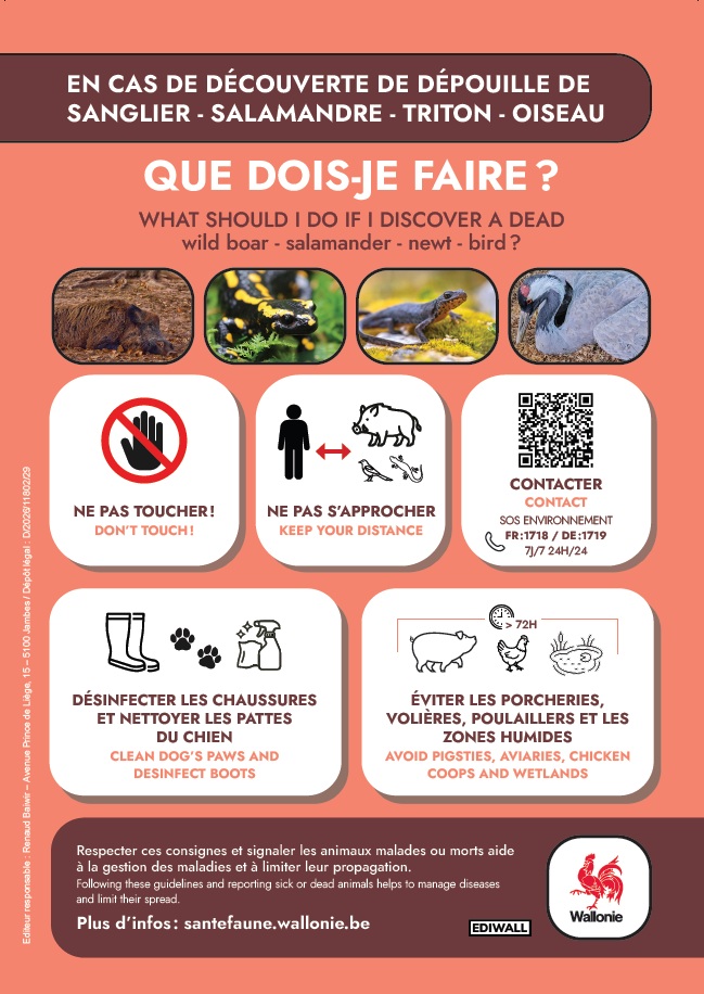 grippa aviaire