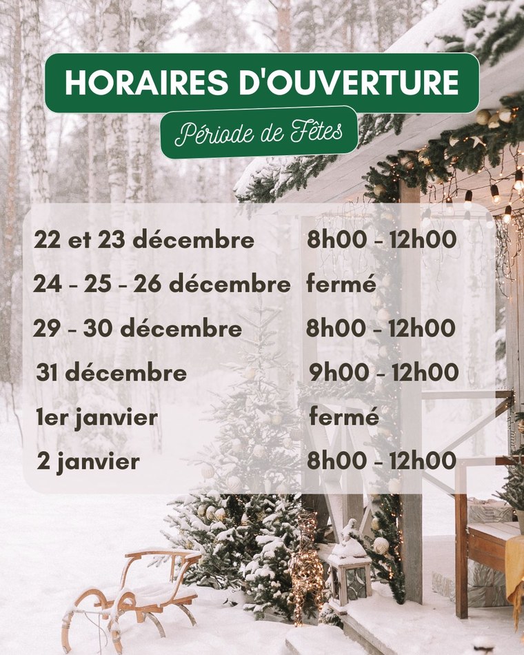 Publication instagram horaires ouverture magasin simple vert
