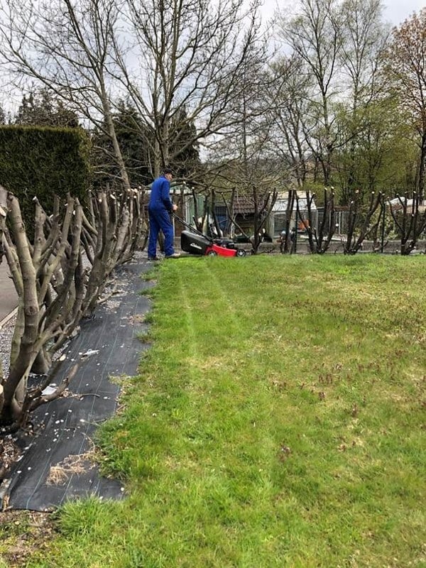 Entretien de jardin
