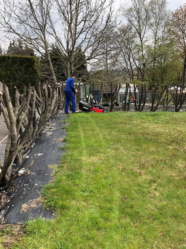 Entretien de jardin