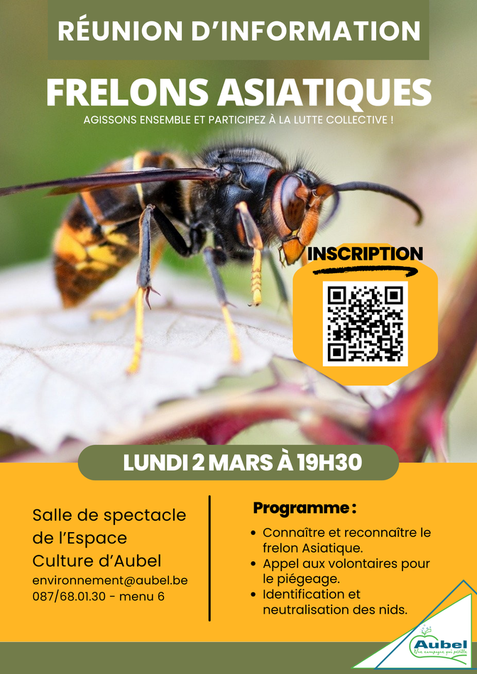 Affiche Évènement Réunion Information Lutte Frelons Asiatiques Simple Moderne Photo Vert Orange
