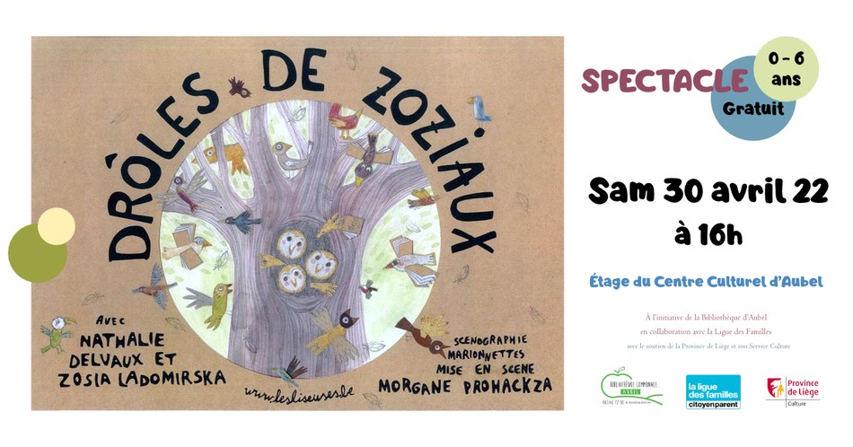 Droles de Zoziaux FB