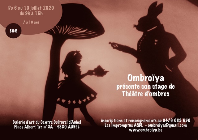 3   affiche stage été 1 aubel solo