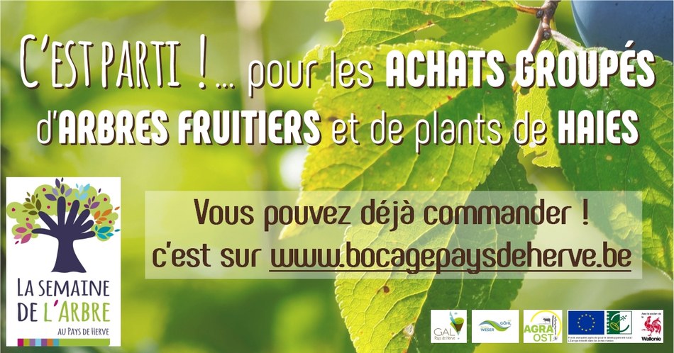 achats groupé d'arbres fruitiers.jpg