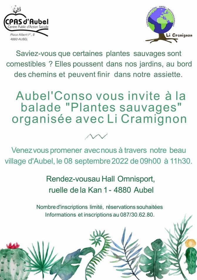 Affiche GAPS 4