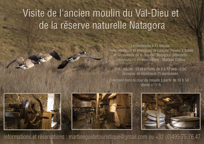 affiche valdieu 1.jpg