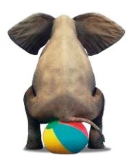 éléphant