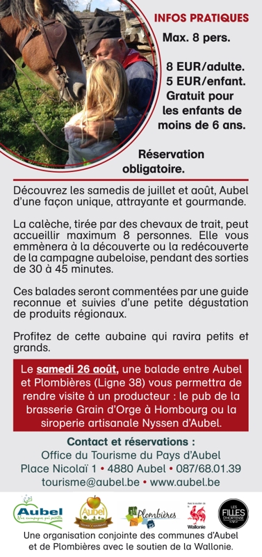 flyer balades en calèches-2.jpg