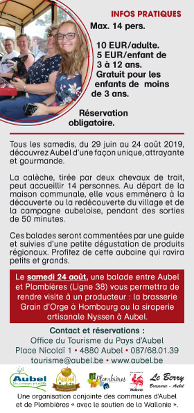 flyer balades en calèches 2019 verso