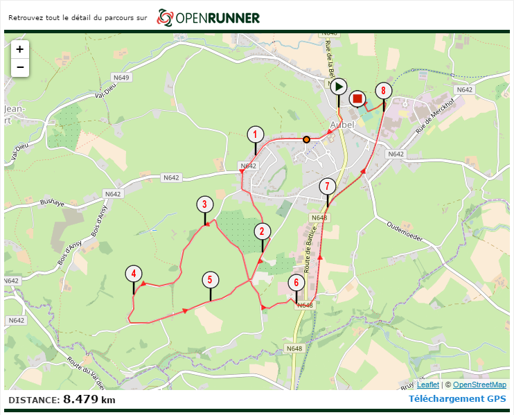Itinéraire jogging.png