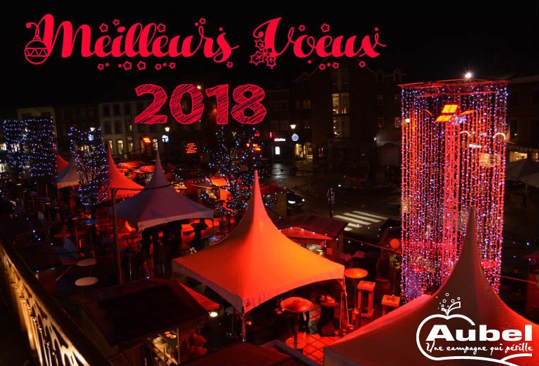 Meilleurs Voeux 2018.jpg