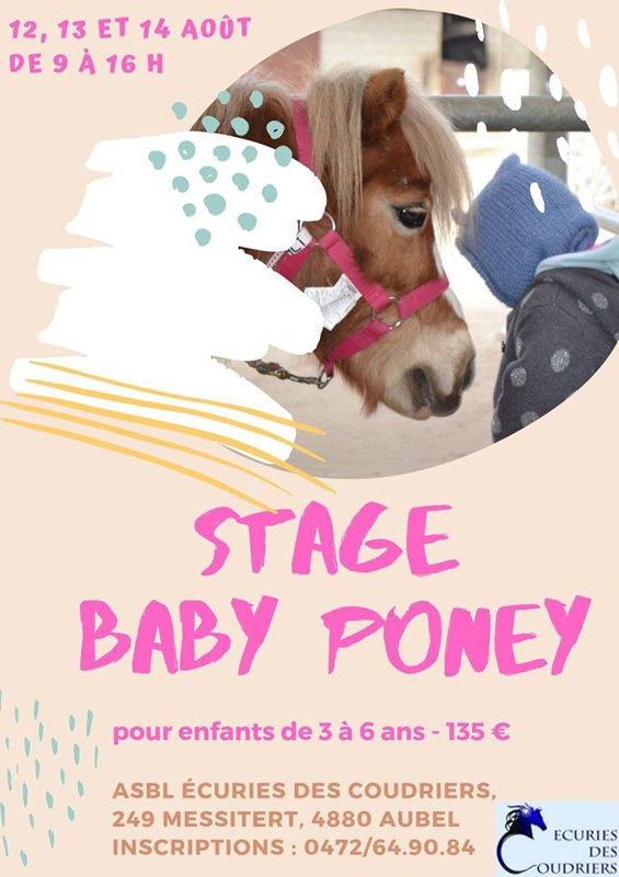 Stage baby poney du 12 au 14 août