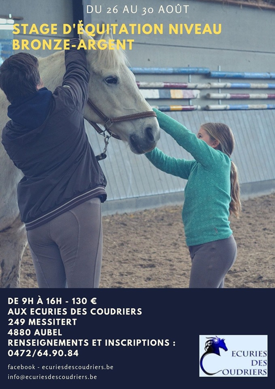 Stage Bronze Argent du 26 au 30 août