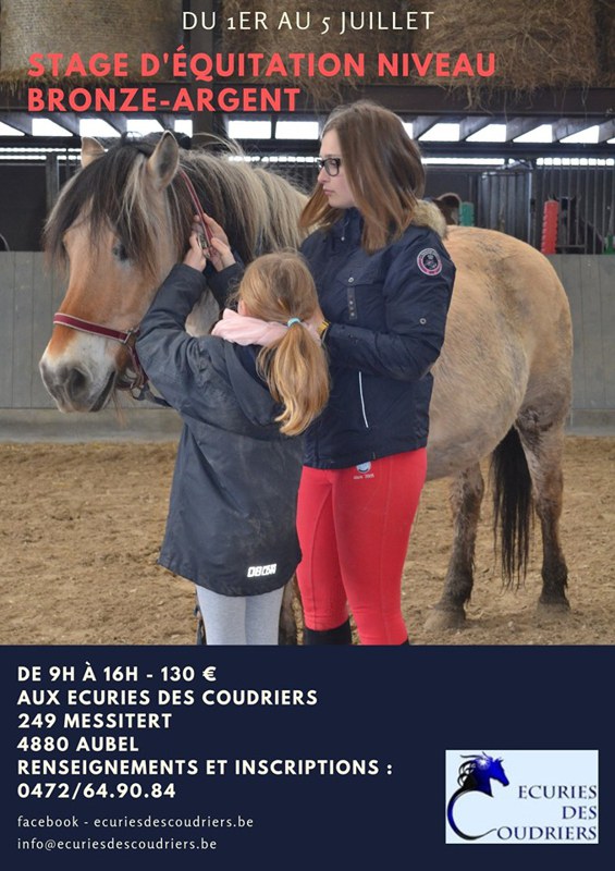 Stage bronze Argent juillet du 1 au 5 juillet