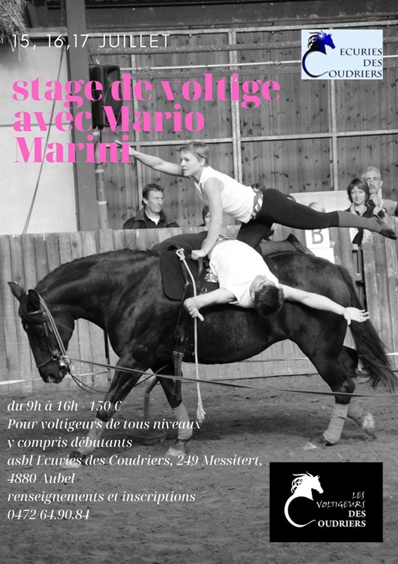 Stage voltige Mario Marini du 15 au 17 juillet