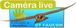 Caméra live