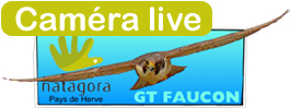 Caméra live