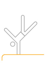 Gymnastique