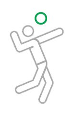 Volley