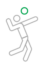 Volley
