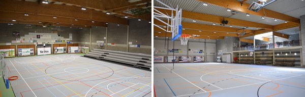 Halls omnisports