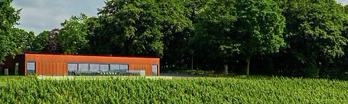 Vignoble Bois de Loë