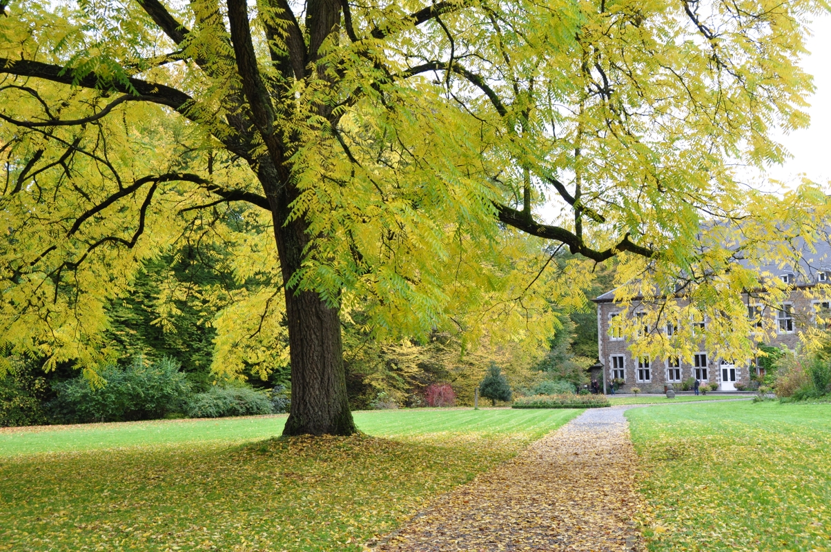 DSC 0291