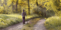 vignette promener3